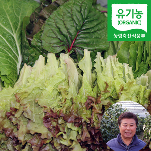 충주 유기농 쌈채소 600g 1kg 모듬쌈 샐러드채소 야채,직송,유기농쌈채소,유기농야채,모듬쌈채소